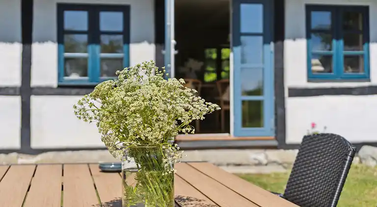 Golfurlaub im Reetdachhaus bei Langeland