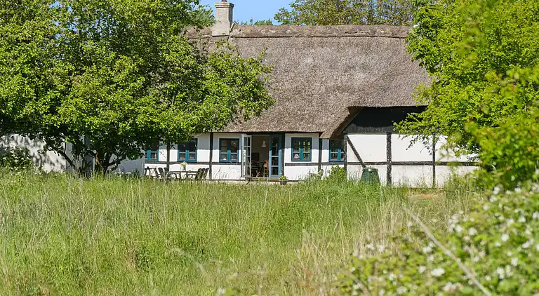 Golfurlaub im Reetdachhaus bei Langeland