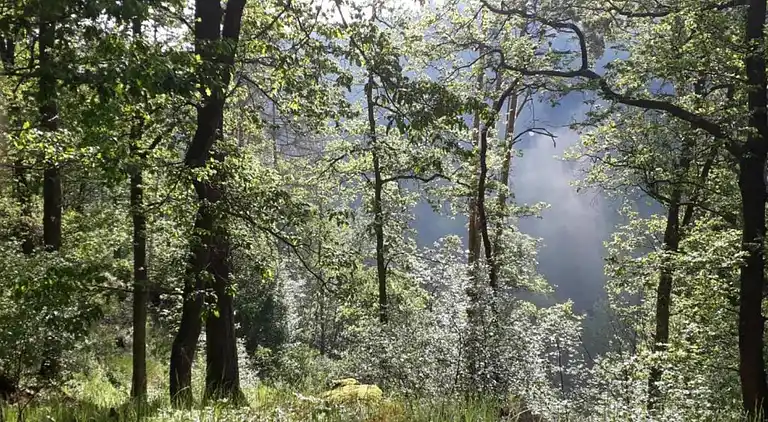 Sommerhus i Bechyně