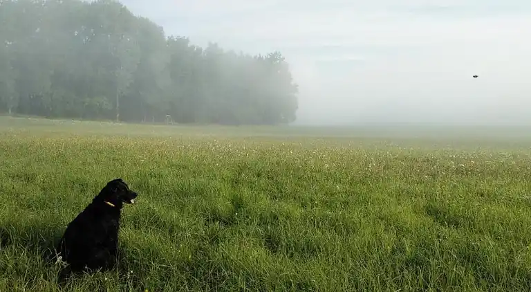 Sommerhus i Bechyně