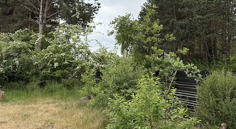 Hyggeligt sommerhus med vildmarksbad