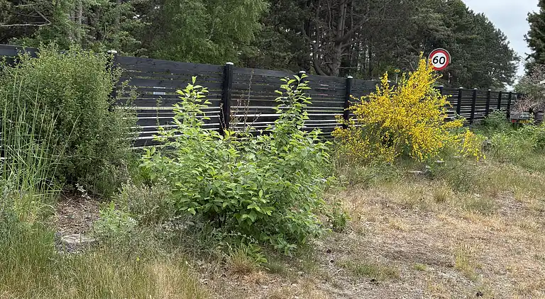 Hyggeligt sommerhus med vildmarksbad