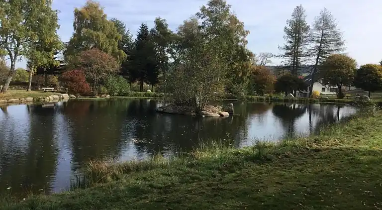 Vakantiehuis in Brigach