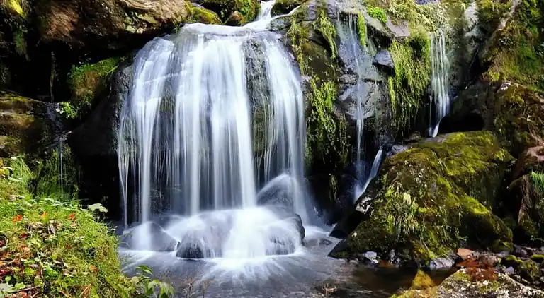 Vakantiehuis in Brigach