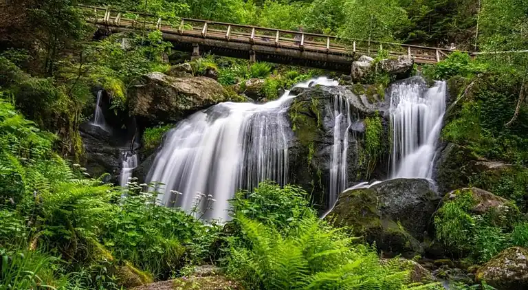 Vakantiehuis in Brigach