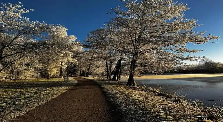 Vakantiehuis in Brigach