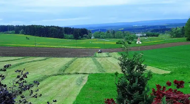 Vakantiehuis in Brigach