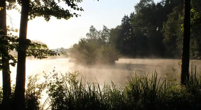 Vakantiehuis in Brigach