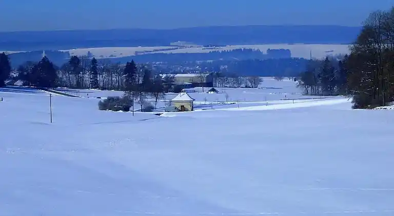 Vakantiehuis in Brigach
