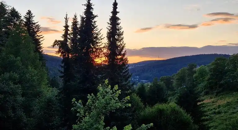 Vakantiehuis in Brigach