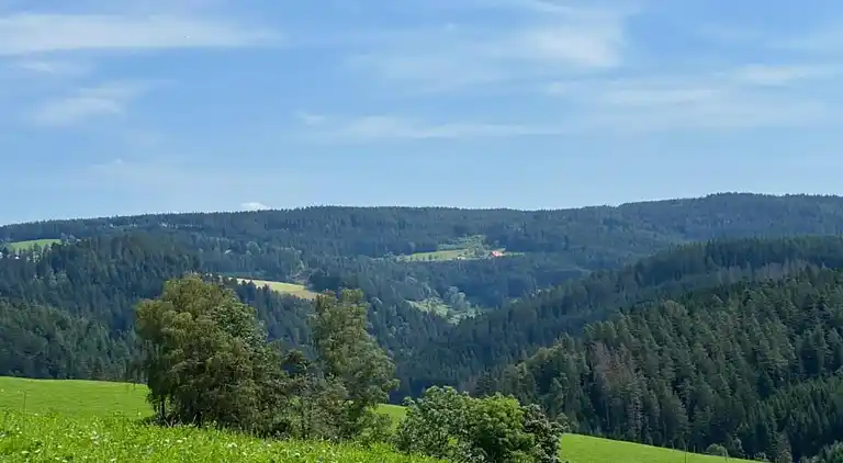 Vakantiehuis in Brigach