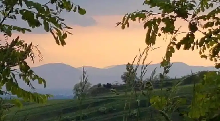 Ferielejlighed i Bischoffingen