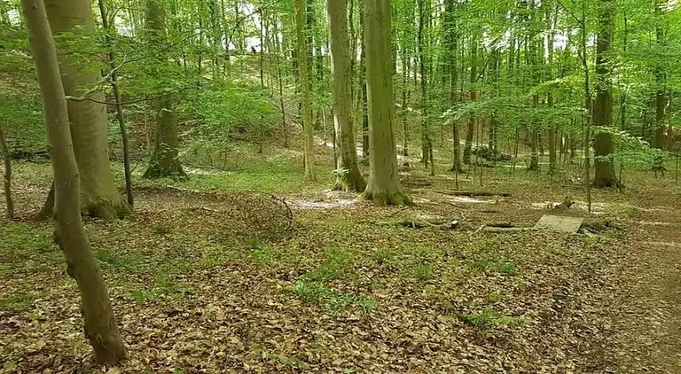 Ferielejlighed i Bischoffingen