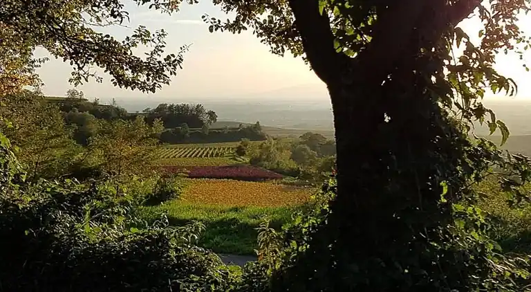 Ferielejlighed i Bischoffingen