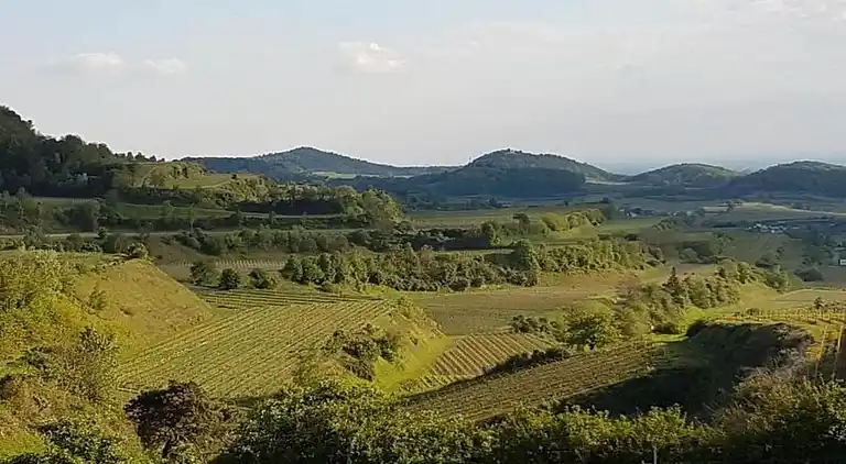 Ferielejlighed i Bischoffingen