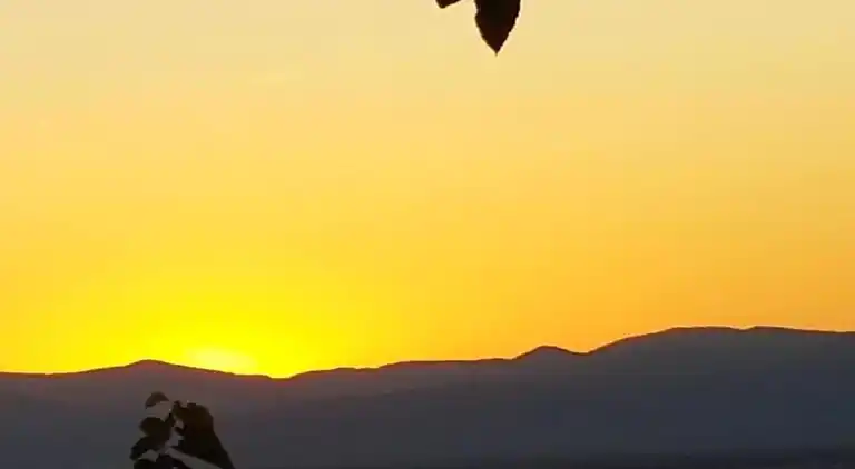 Ferielejlighed i Bischoffingen