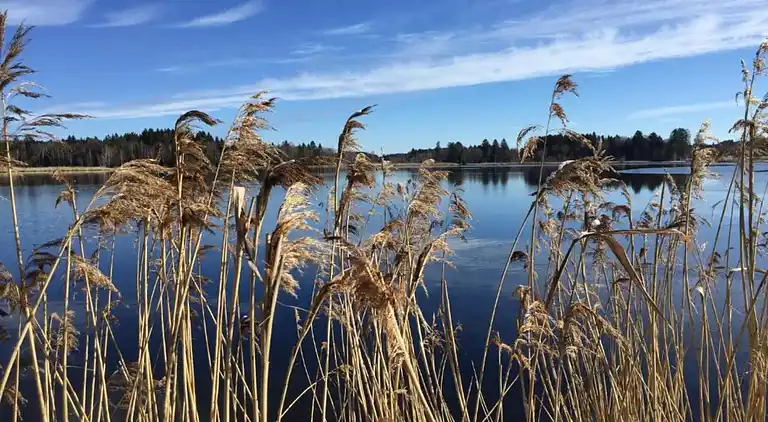 Lägenhet i Bad Bayersoien