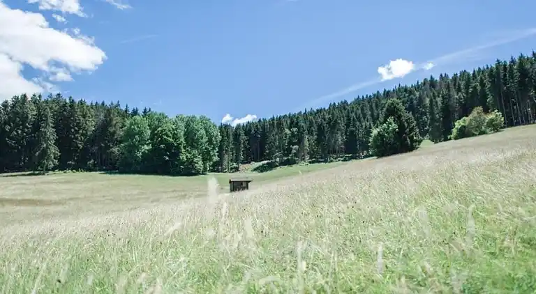 Ferielejlighed i Gaß