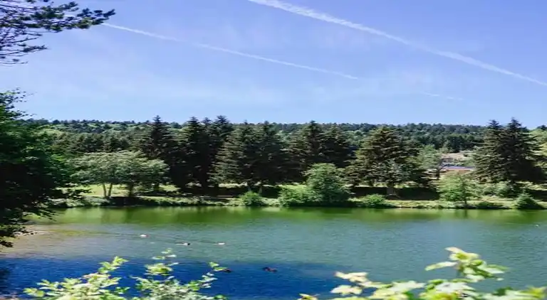 Apartment in Inner-Urberg