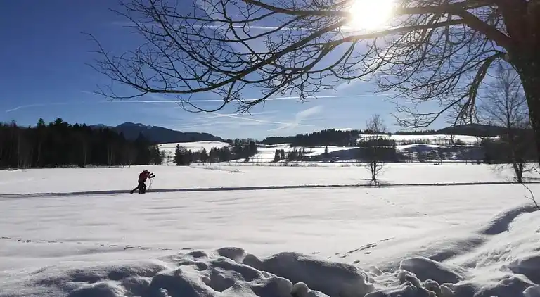 Lägenhet i Bad Bayersoien
