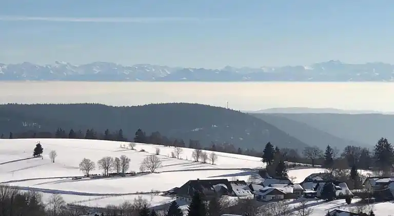 Apartment in Inner-Urberg