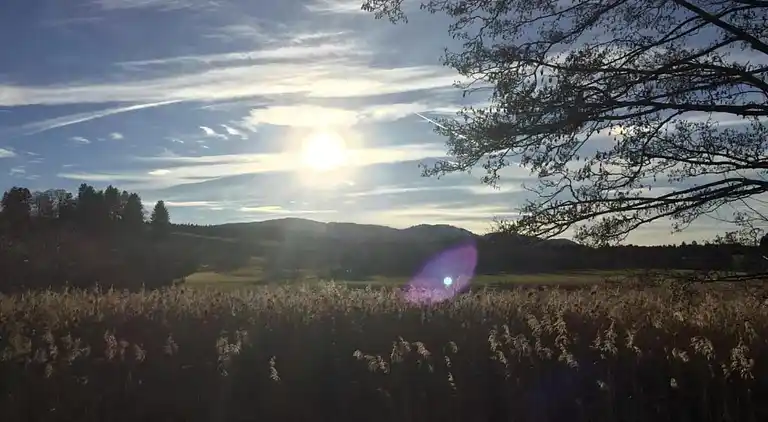 Lägenhet i Bad Bayersoien