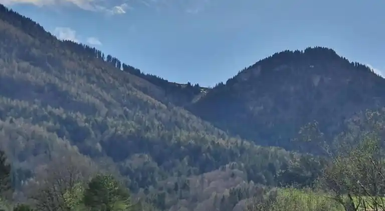 Holiday home in Seehaus