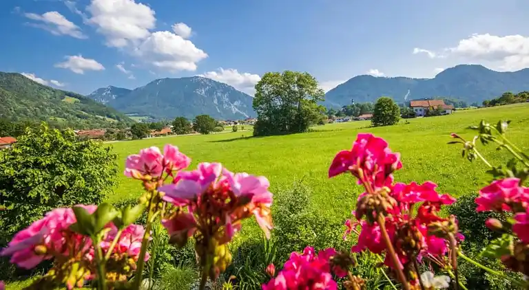 Apartment in Seehaus