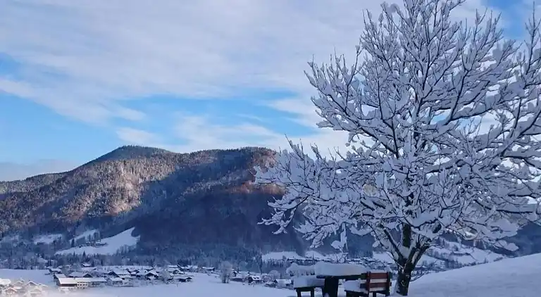 Holiday home in Seehaus