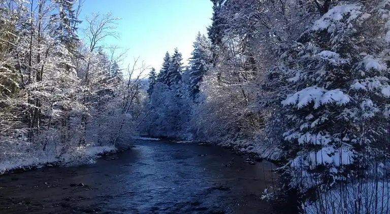 Ferienwohnung in Schönau am Königssee
