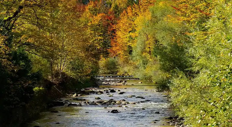 Holiday home in Seehaus