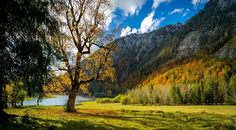 Ferielejlighed i Seehaus