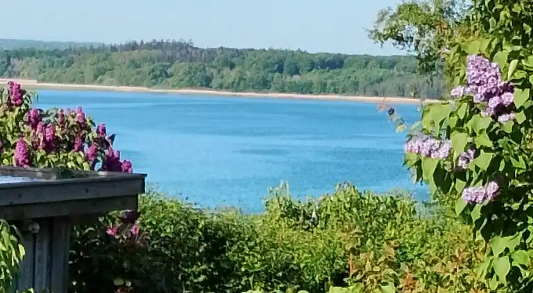 Roligt sommerhus med udsigt og nær fjordstier