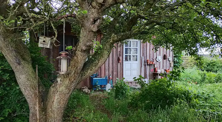 Roligt sommerhus med udsigt og nær fjordstier