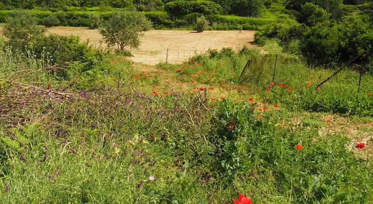 Leilighet i Dubrovnik
