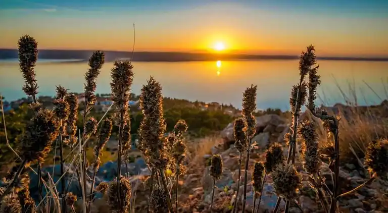 Lägenhet i Starigrad