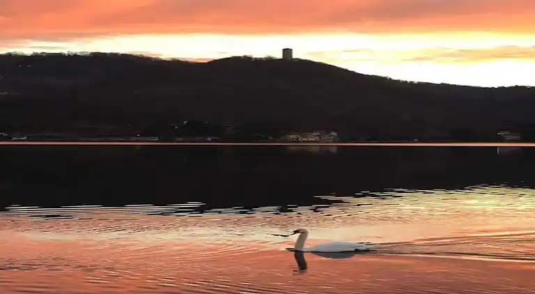 Castle in Rocca Grimalda