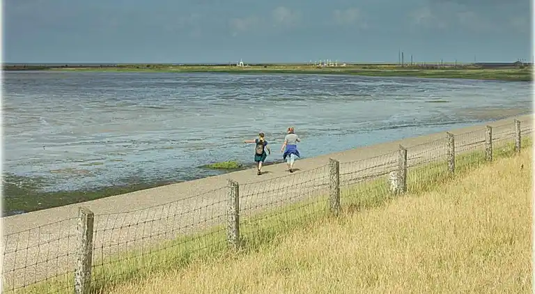 Holiday home in Hippolytushoef