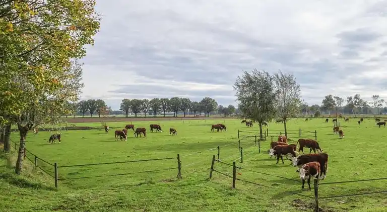 Holiday home in Europe