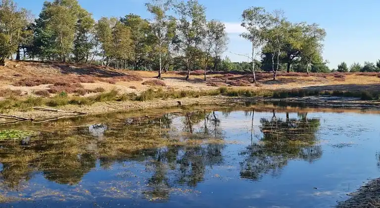 Holiday home in Europe