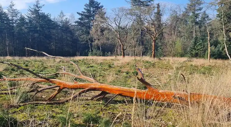 Holiday home in Europe