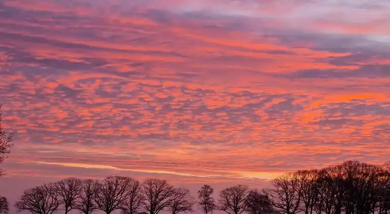 Holiday home in Europe