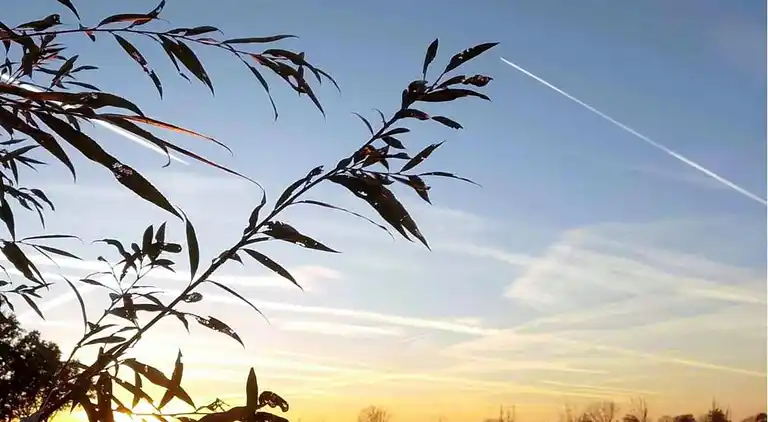 Holiday home in Europe