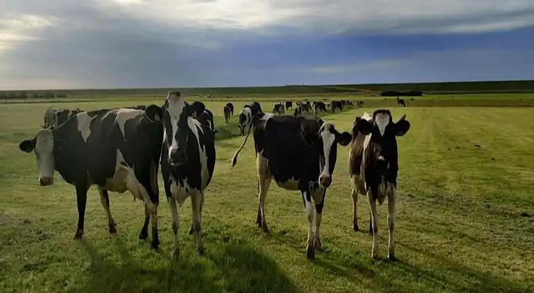 Holiday home in Hippolytushoef