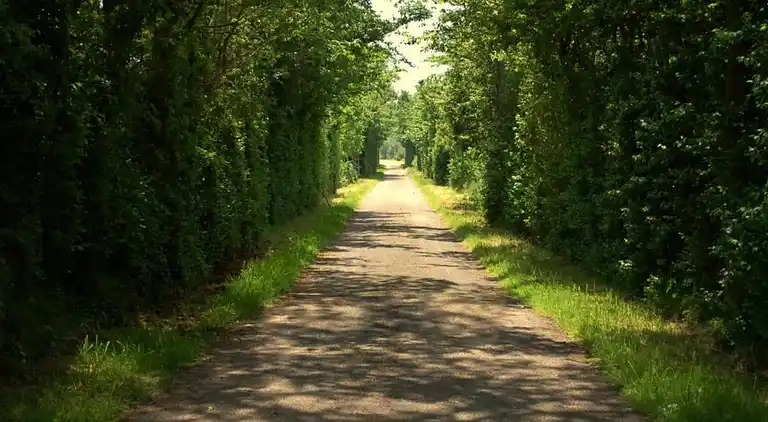 Holiday home in Hippolytushoef