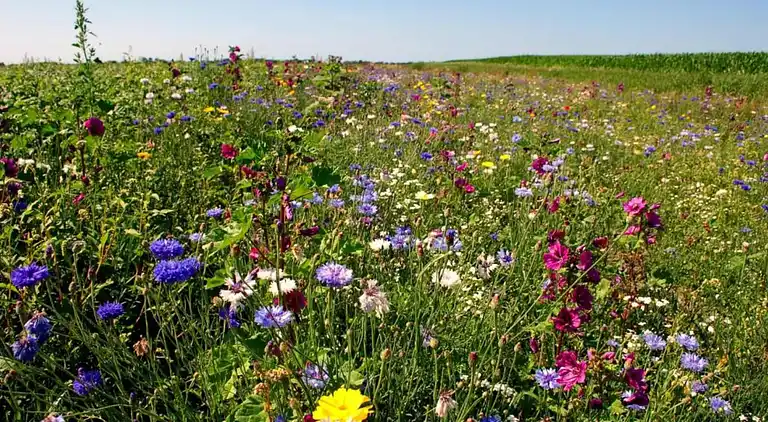 Holiday home in Hippolytushoef