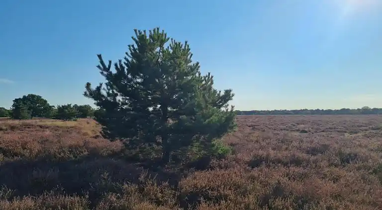 Holiday home in Europe