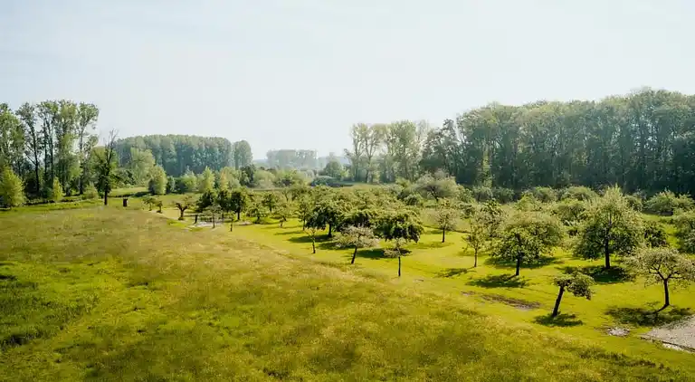 Farm house in Sint Odiliënberg