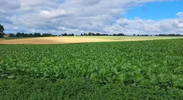 Farm house in Sint Joost