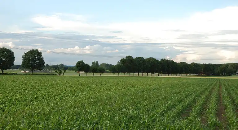 Apartment in Posterholt